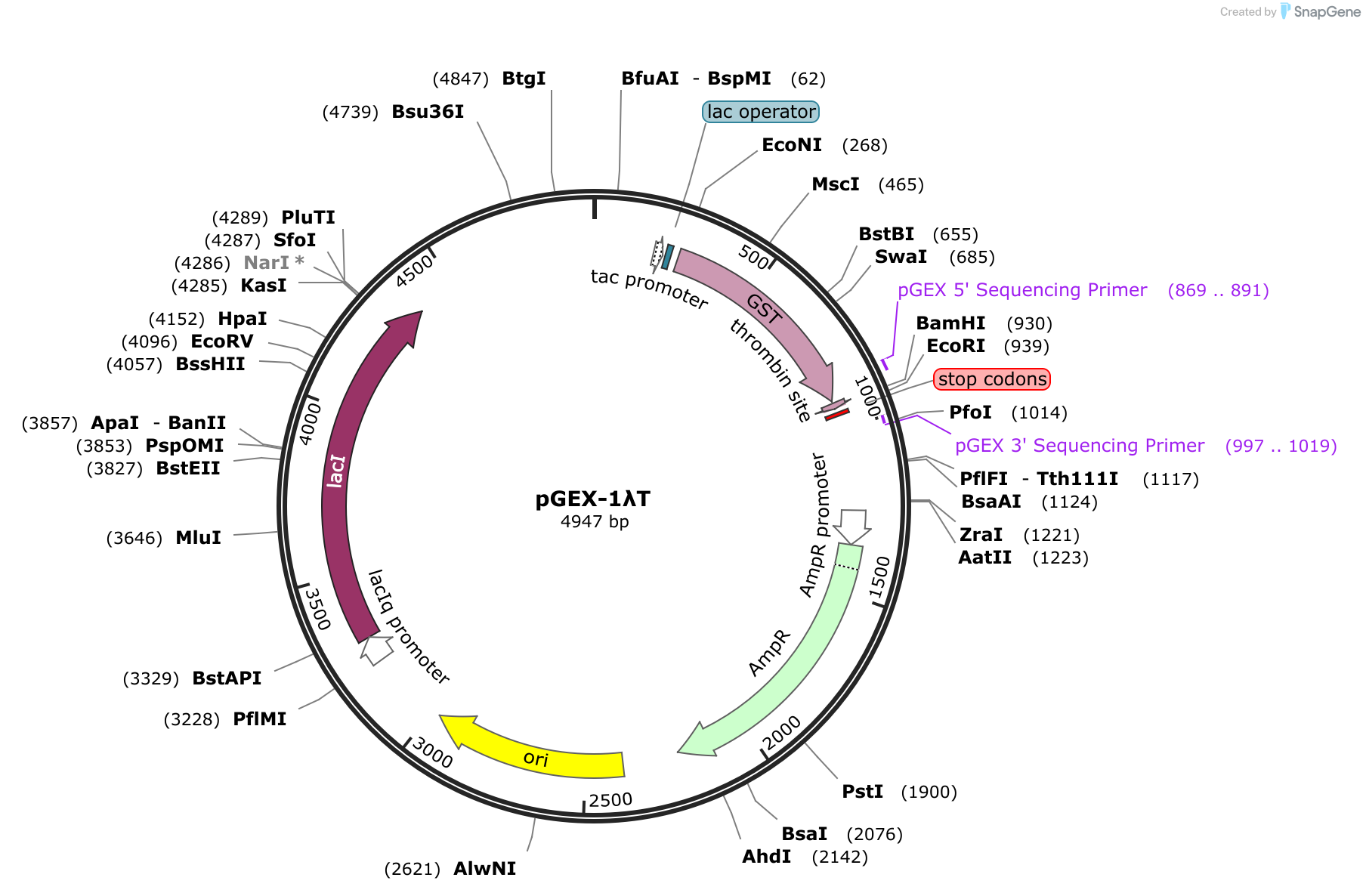 snapgene viewer citation