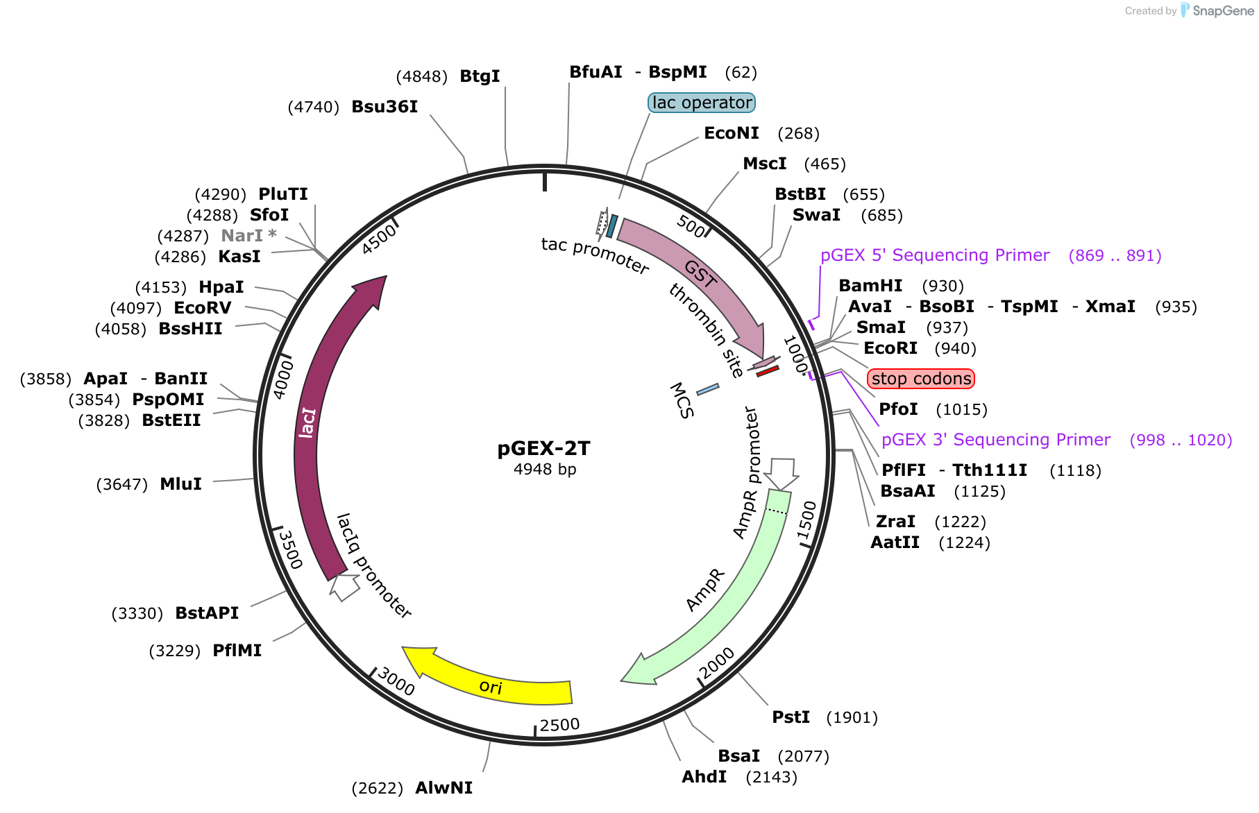 snapgene viewer citation