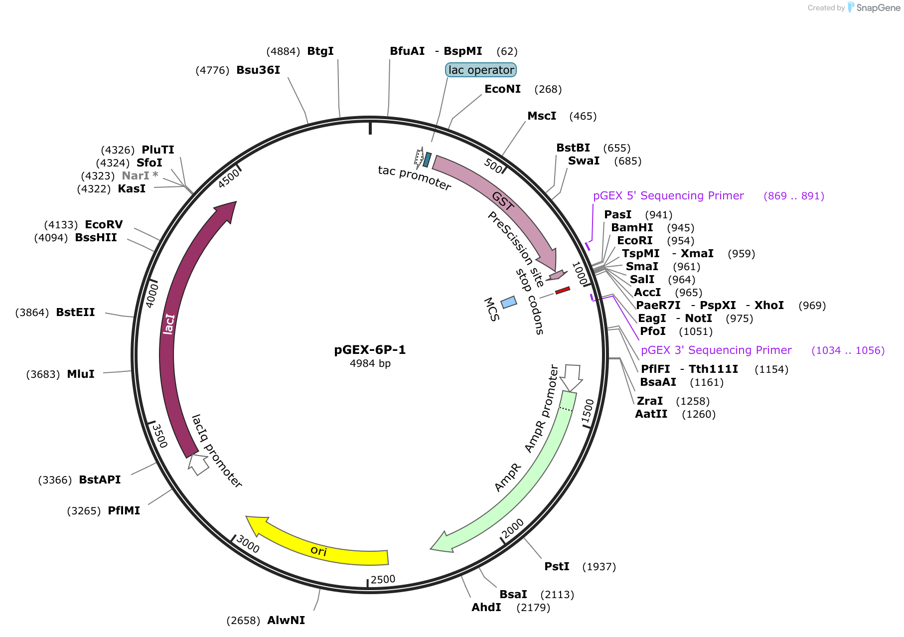 pGEX-6P-1 Sequence and Map