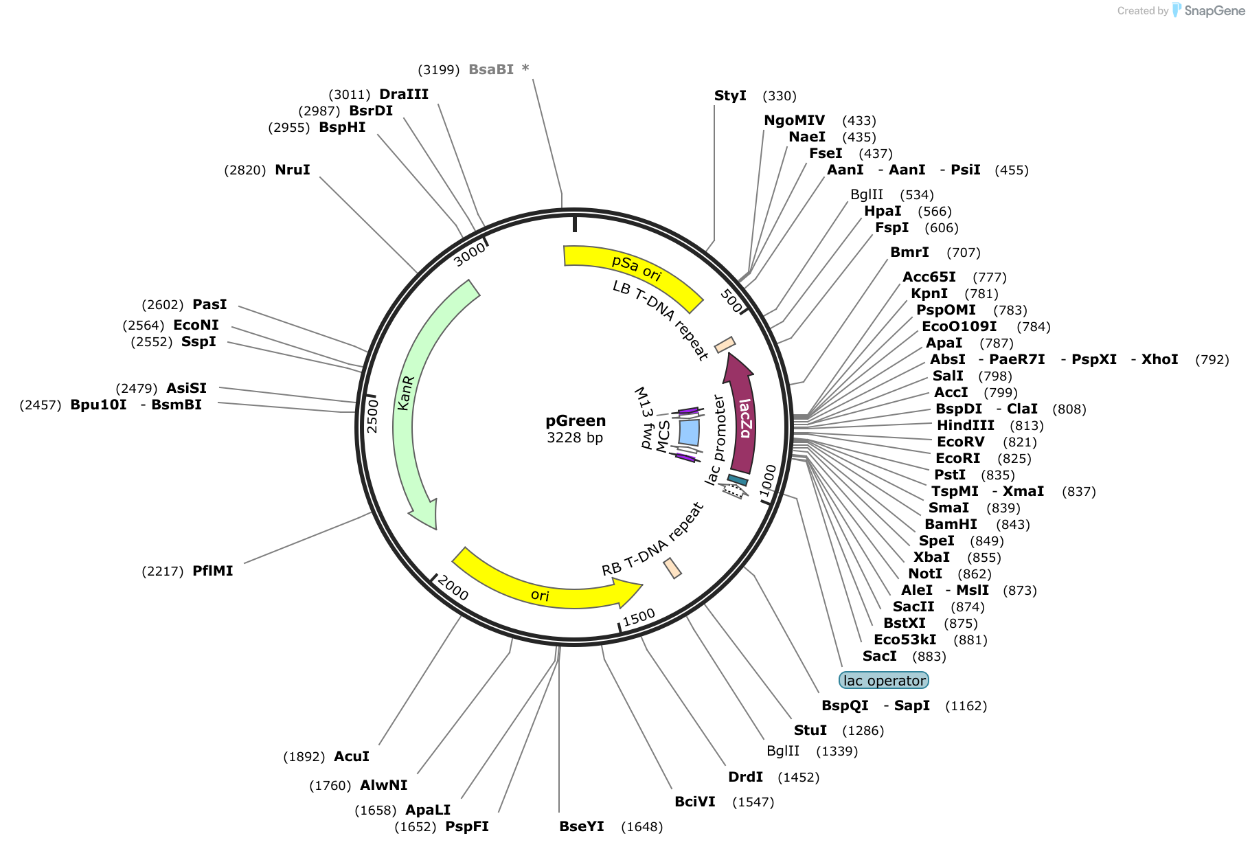 snapgene viewer cicrlce map