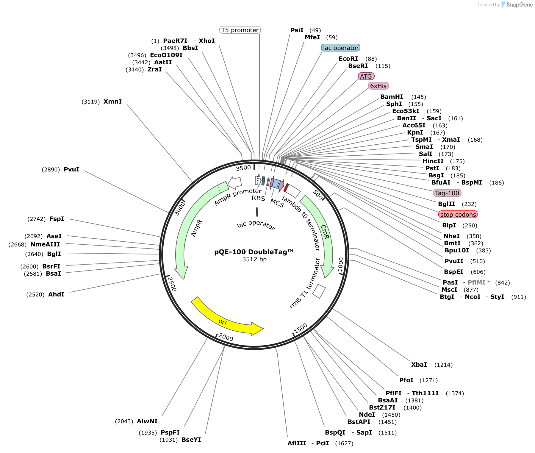 Pqe 100 Doubletag Sequence And Map