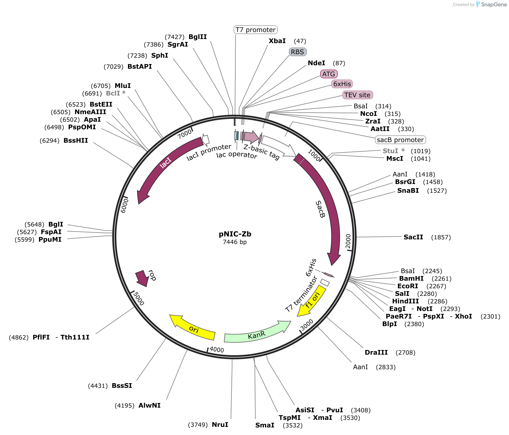 Pnic Zb Sequence And Map