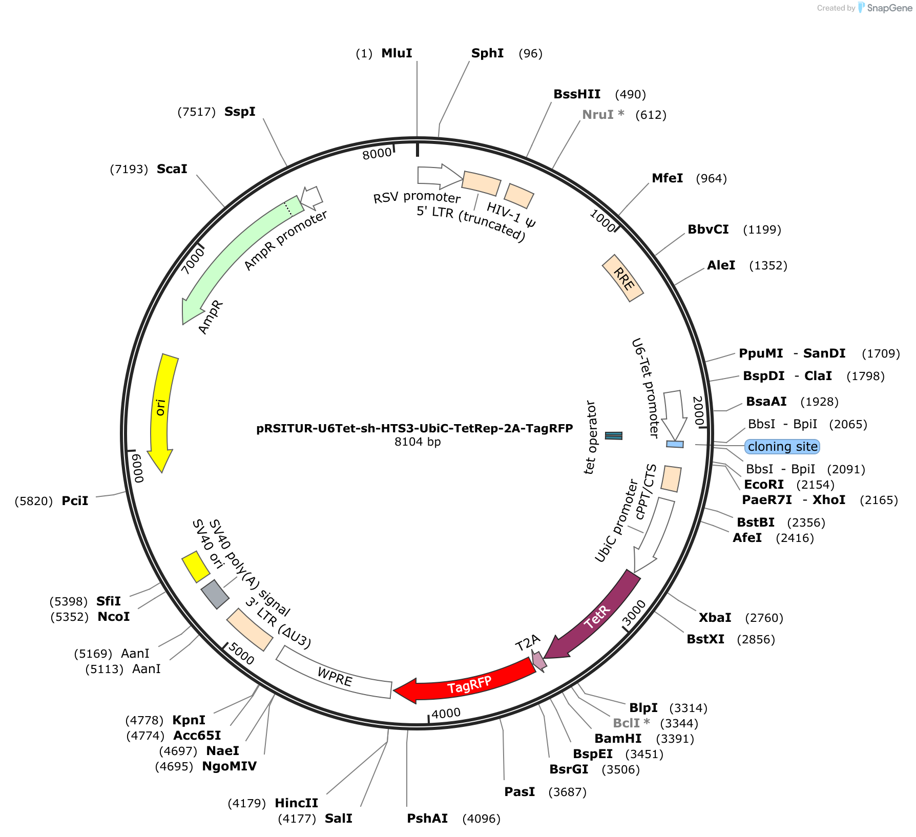 snapgene viewer sequence map linear circular snapgene viewer sequence map linear circular